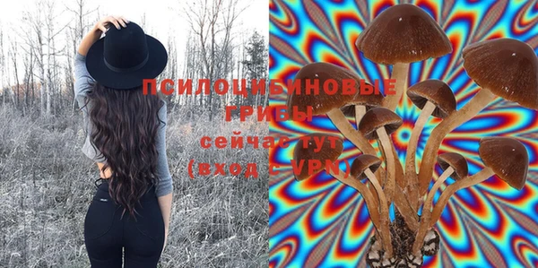 винт Баксан